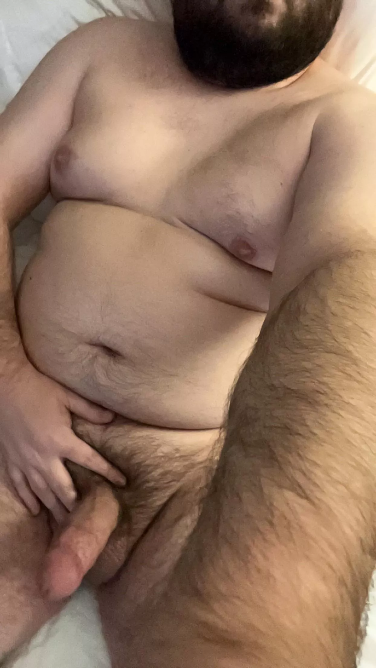 All alone in this hotel bed… posted by SouthernChubbyBeard