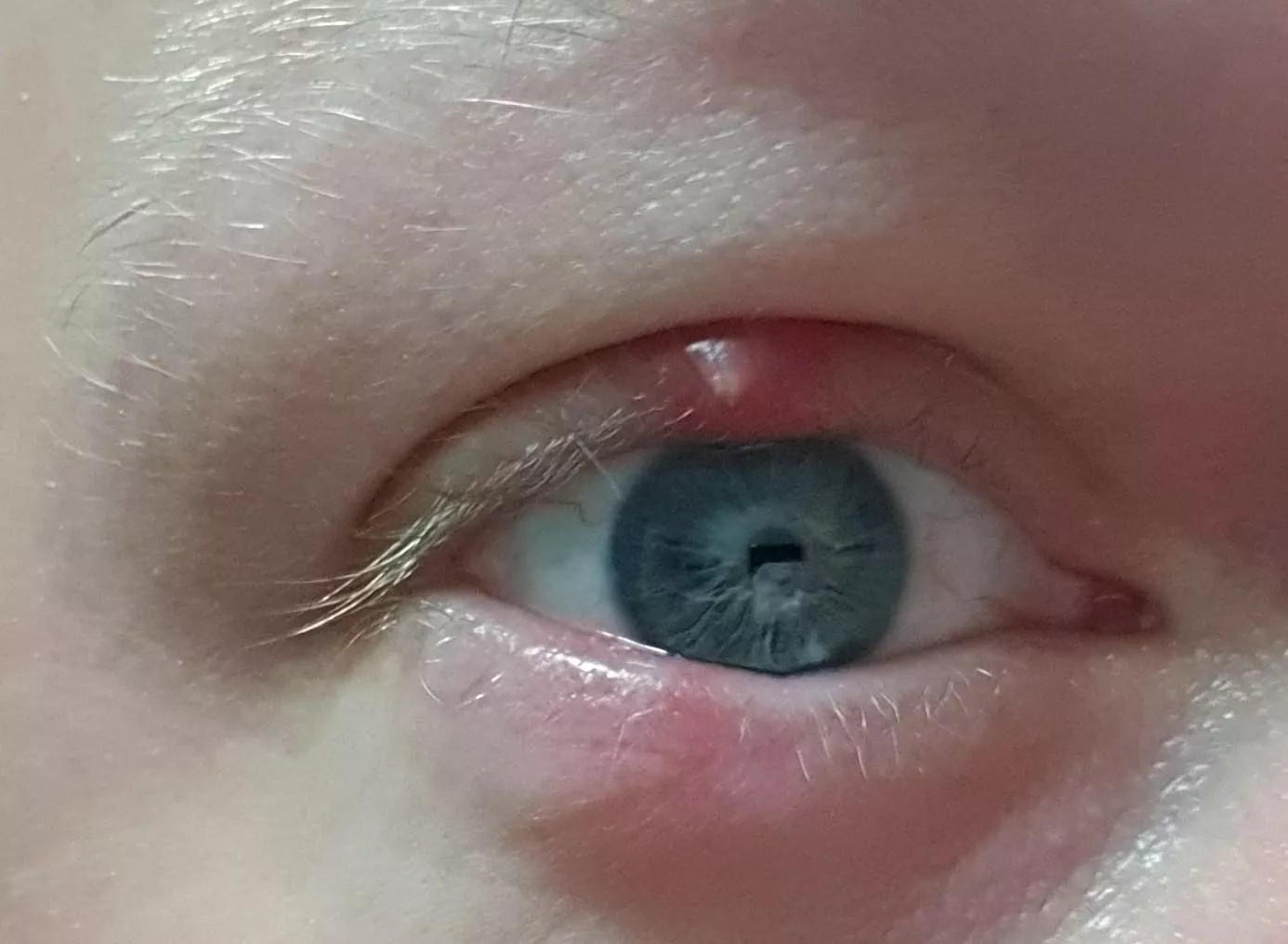 Another forbidden pop posted by moribound88