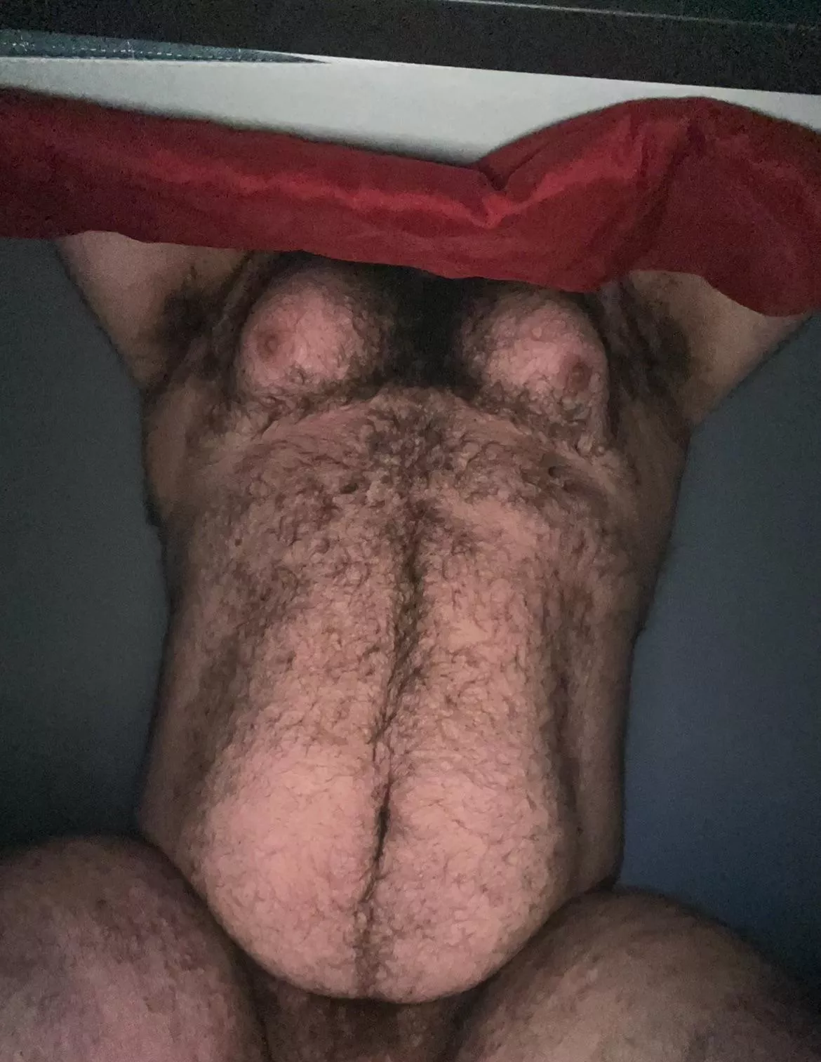 Are you lickin or stickin?🐻 posted by bigmikemccarthy