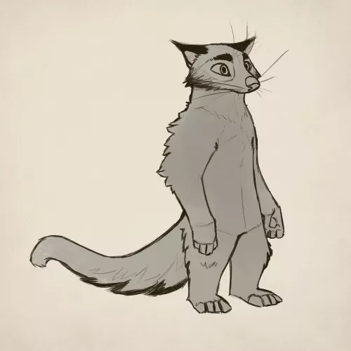 》Binturong by notg_arts