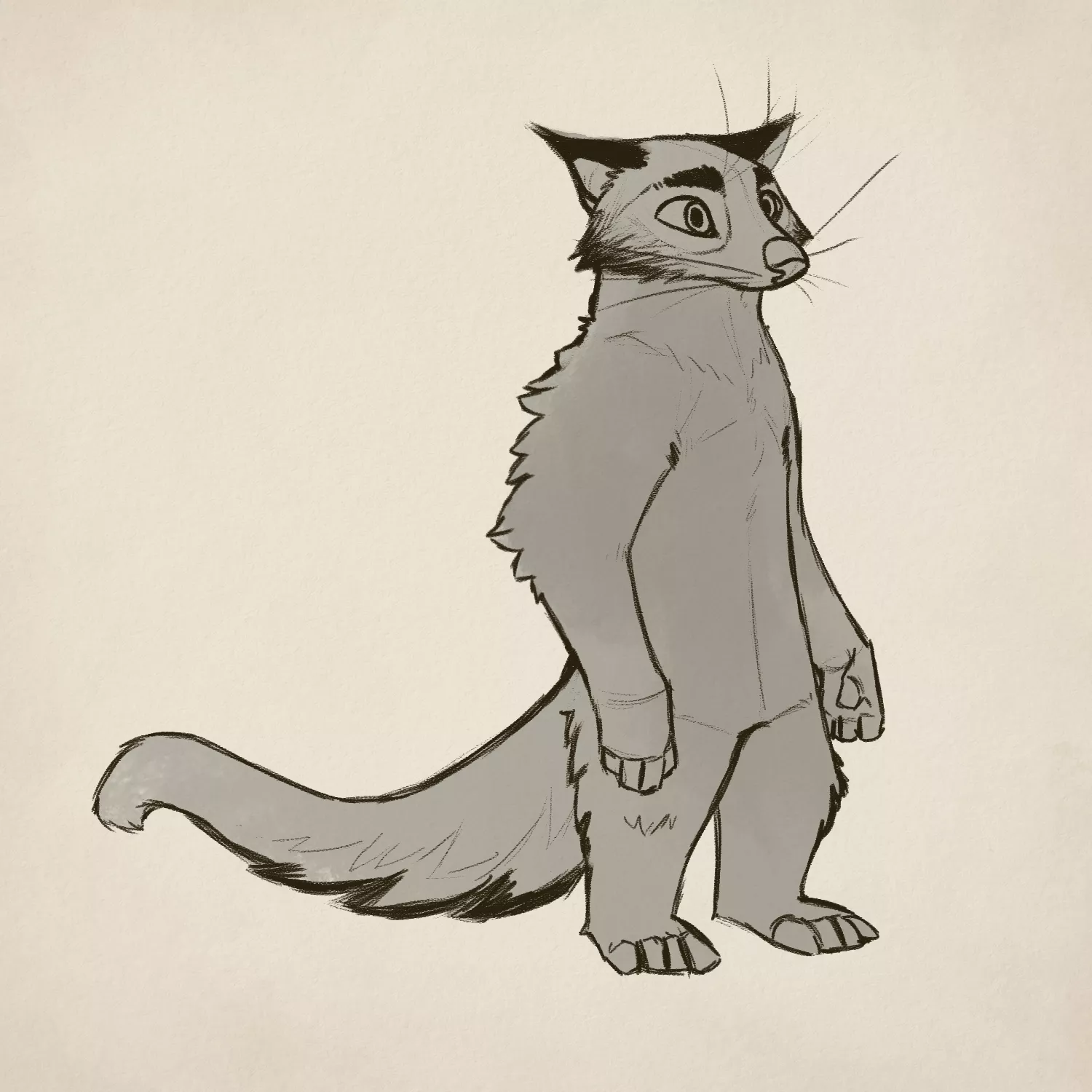 》Binturong posted by notg_arts