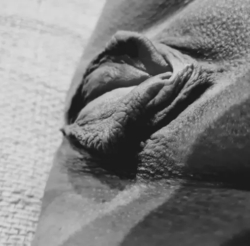 Do u like my Pussy? by Analitas