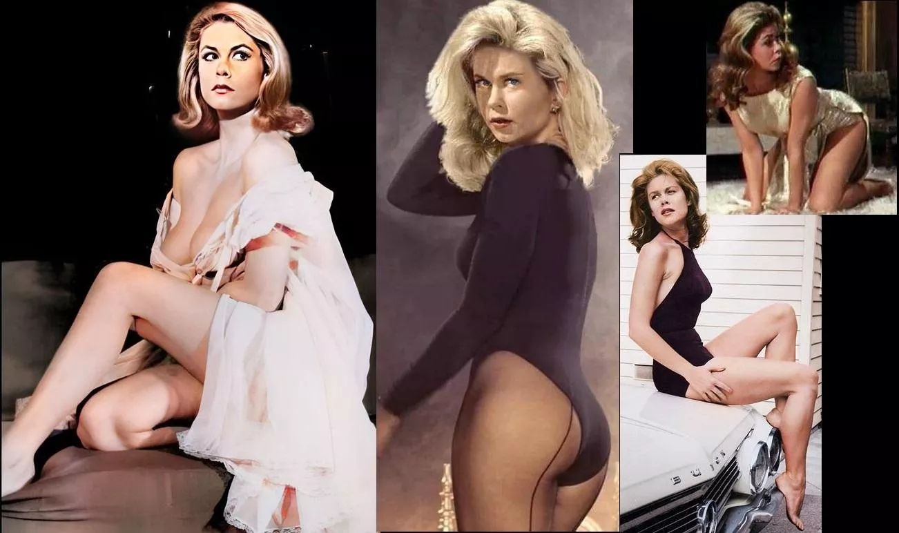 Elizabeth Montgomery; A classic beauty posted by Impressive_Camp_3435