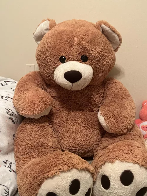 Help me name this stuffie! by Silver_Ad9629