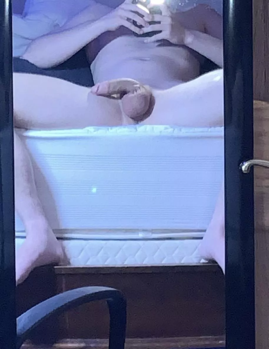 Isn’t he handsome soft? posted by Leading_Garden8362