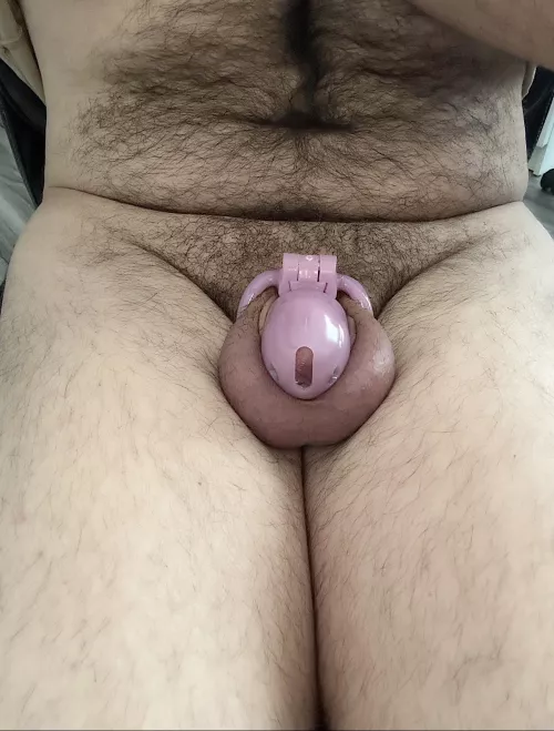 Just bought my first sissy cage by Negative-Progress564