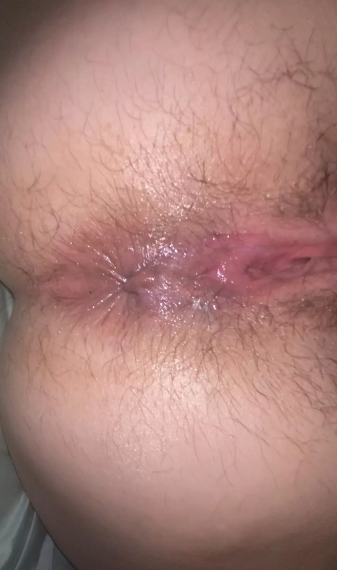 My [h]airy asshole or pussy, which would you take first? posted by PhantomFenix69