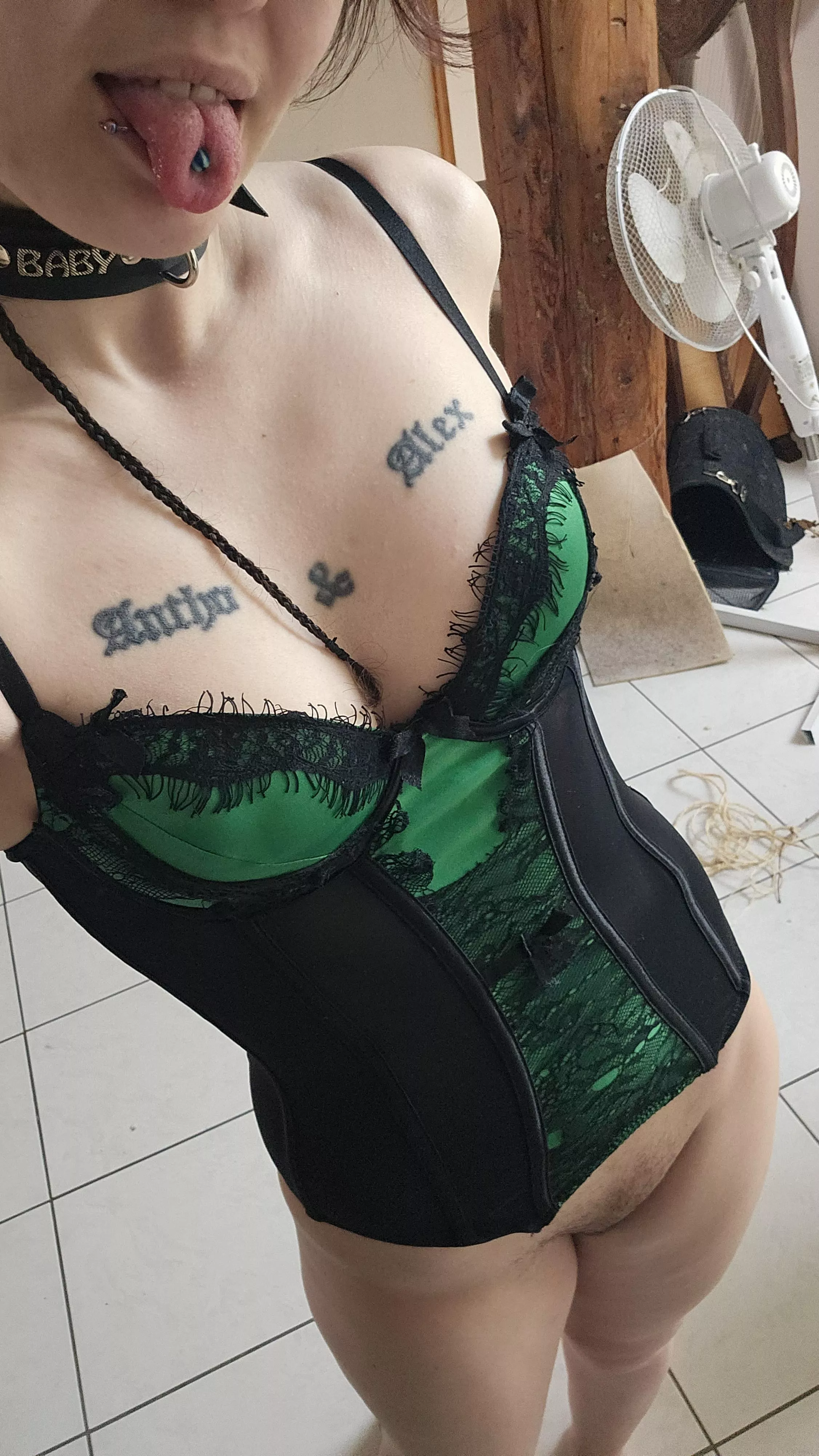 Oops ! I lost my leash 🤭 posted by troulania