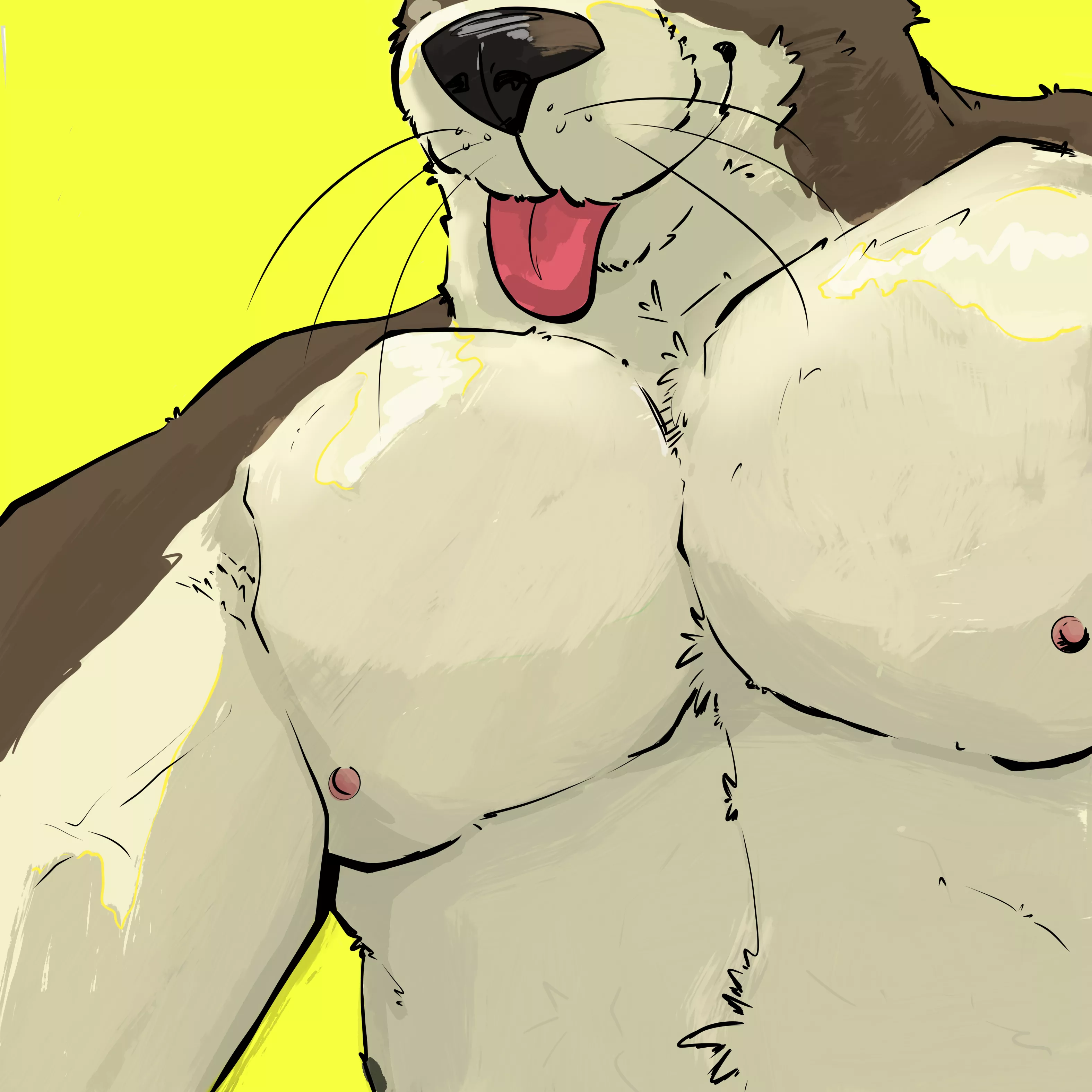 otter dilf (@horatios_muzzle on twitter) posted by horatios_muzzle