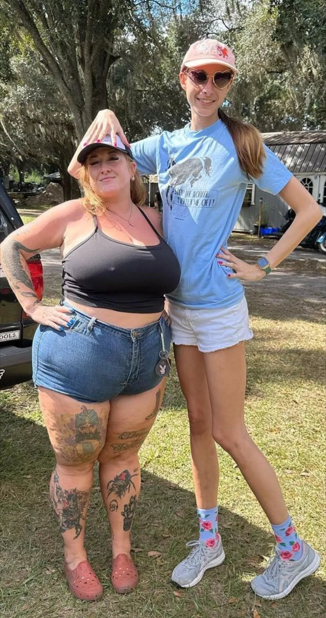 polar opposites posted by dbdant