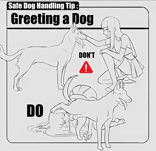 Quickly advise (chilichi) by nobodywanna