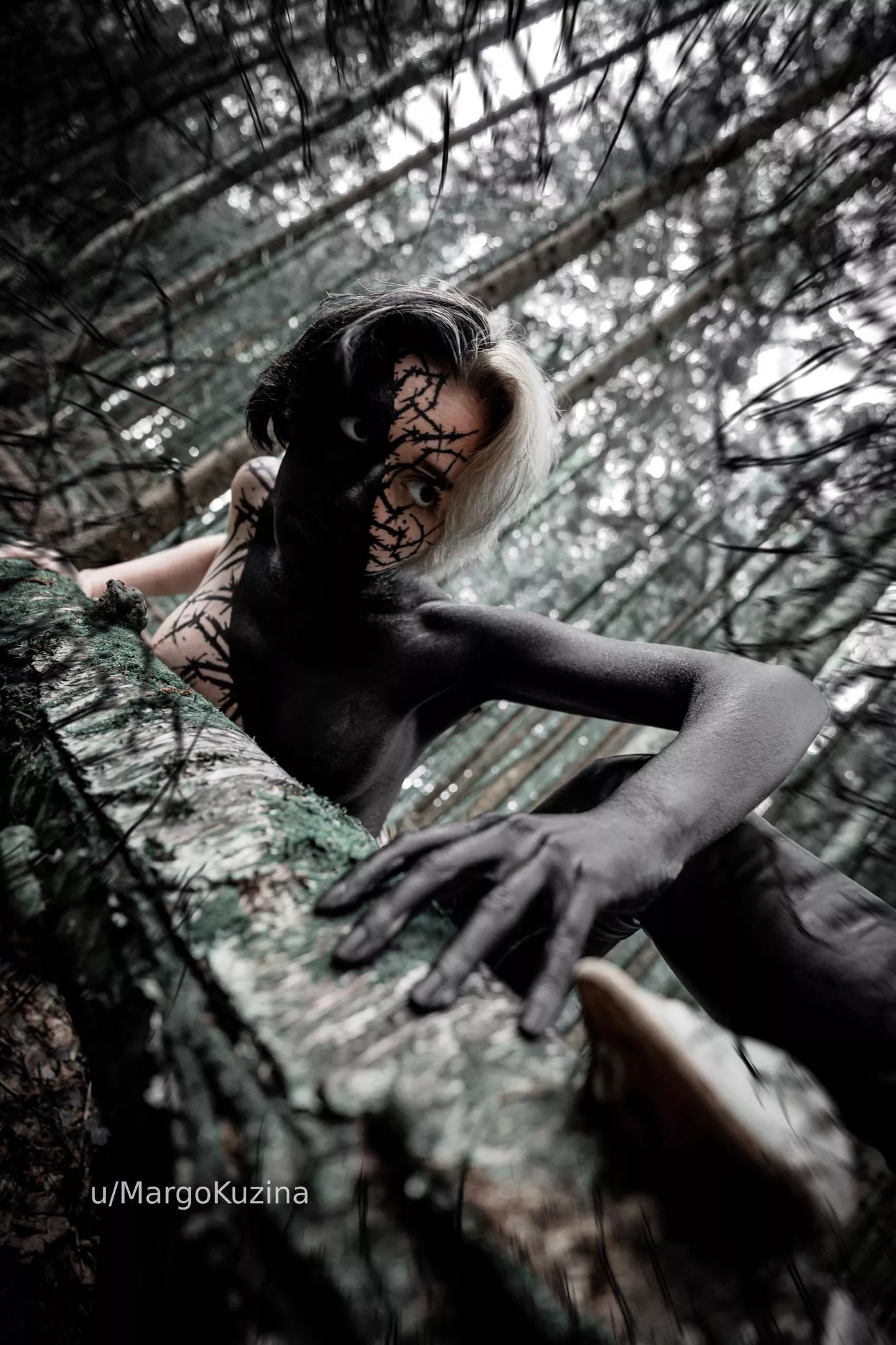 Tempting Spider Threads posted by MargoKuzina