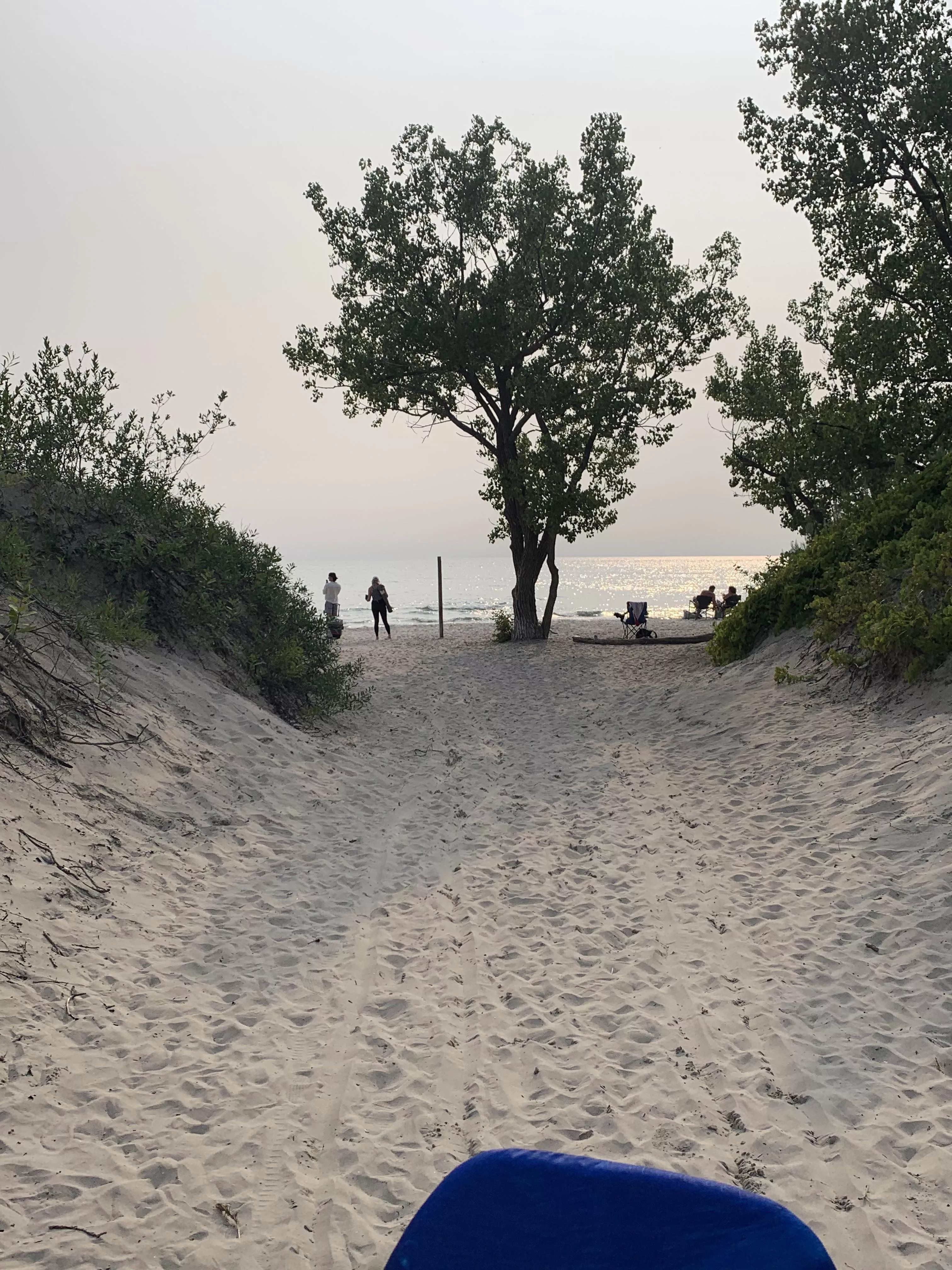 That sand path feeling… posted by Lemazze