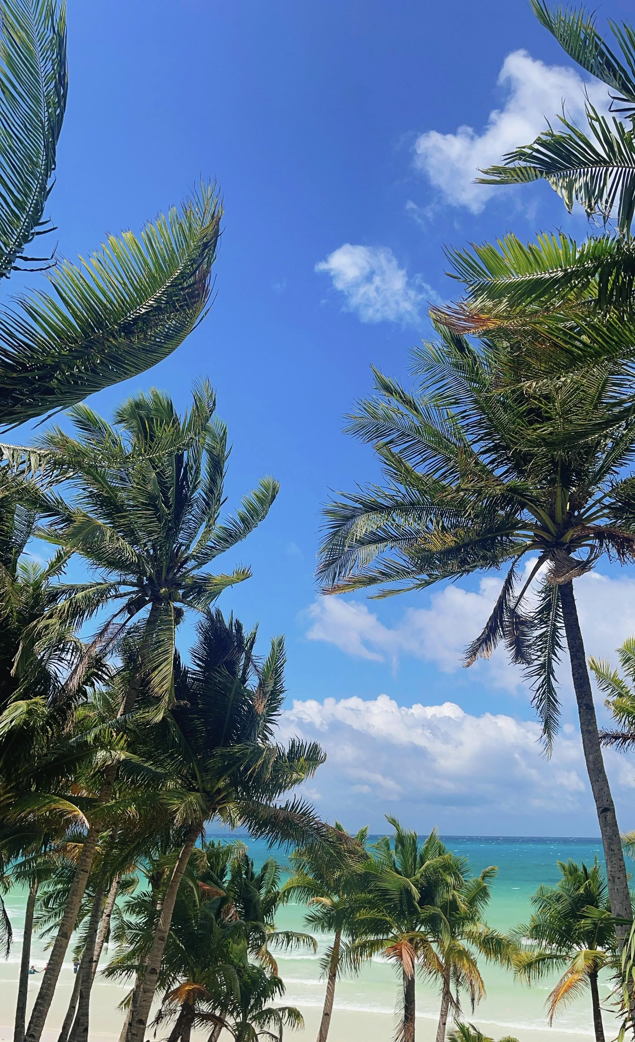 This view from my room 🫶🏼 posted by Blueberryvodka248