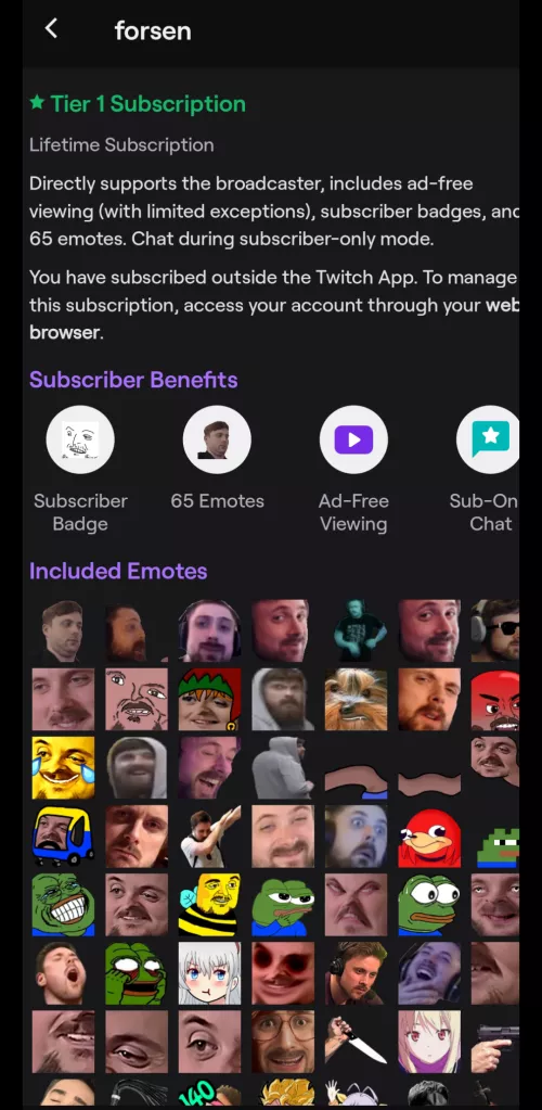 Whats a lifetime subcription? by doesitgoinmynose