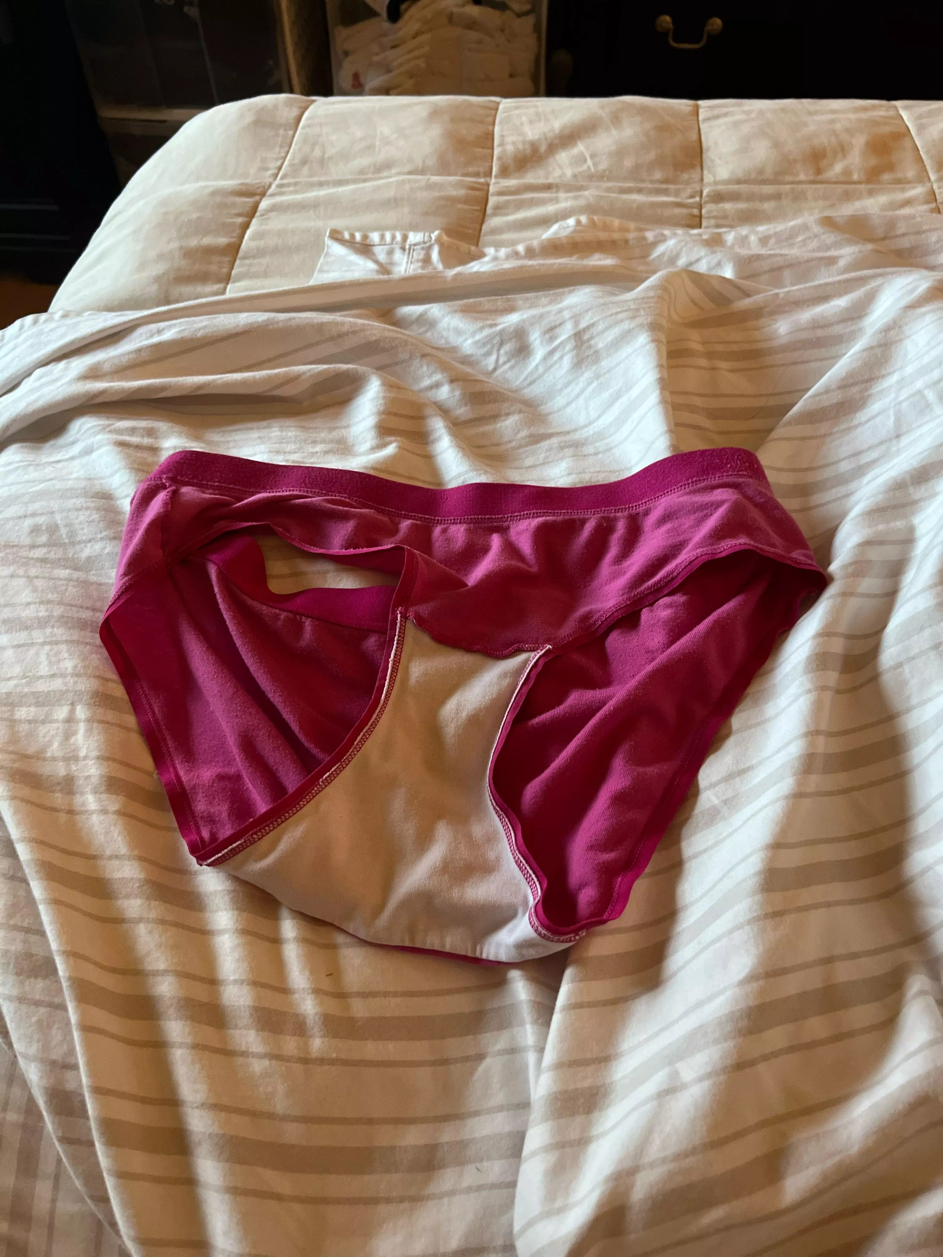 Wife’s panties from yesterday. Yum posted by KinkyBiCT