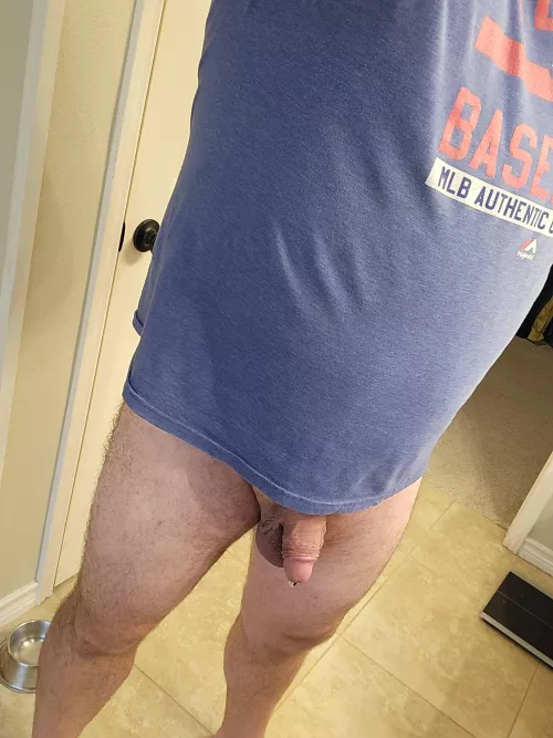 Would lounging around the house like this improve your productivity? by twxfur654