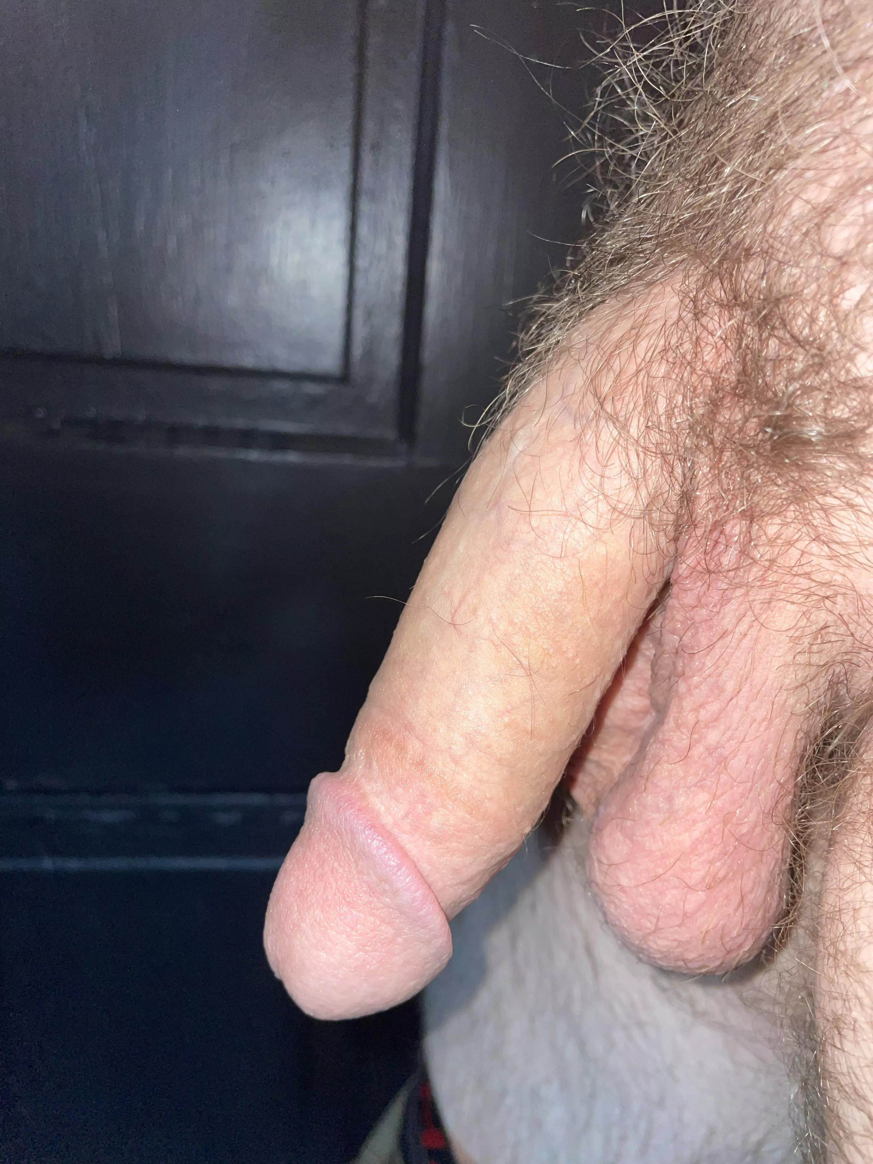 Anyone like hairy cock!? posted by Kayjed