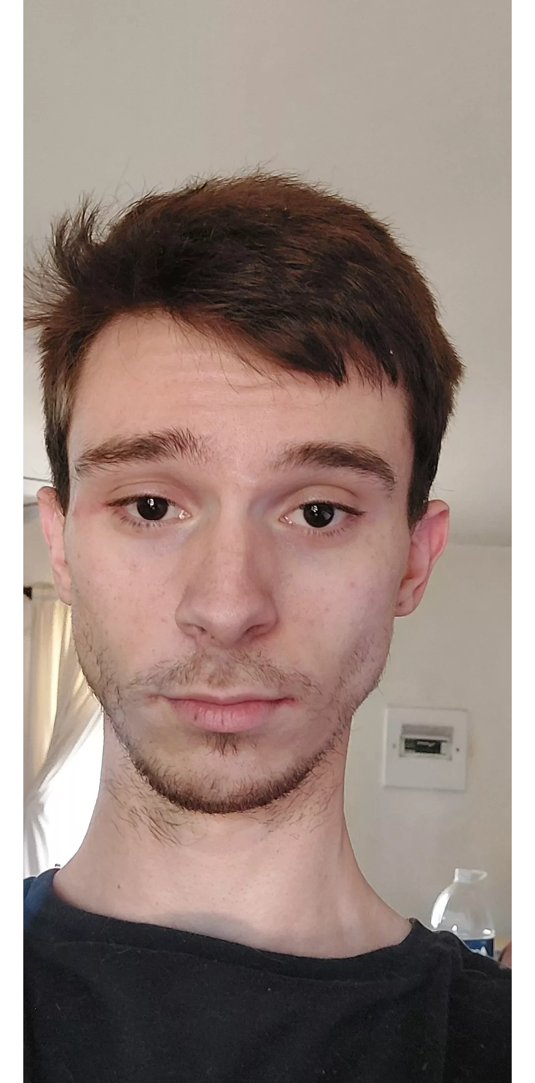 Brown hair this time posted by Acrobatic-Bake2084