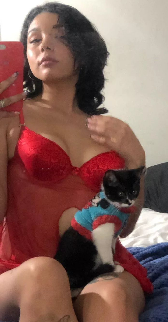 Do you think my cat is lucky? 😁 posted by deep_chanel7