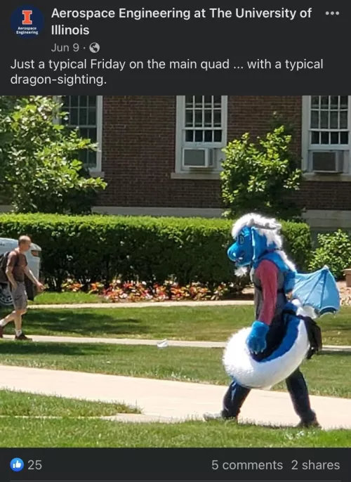 Dragon sighting at UIUC! by Ok-Cheek6947