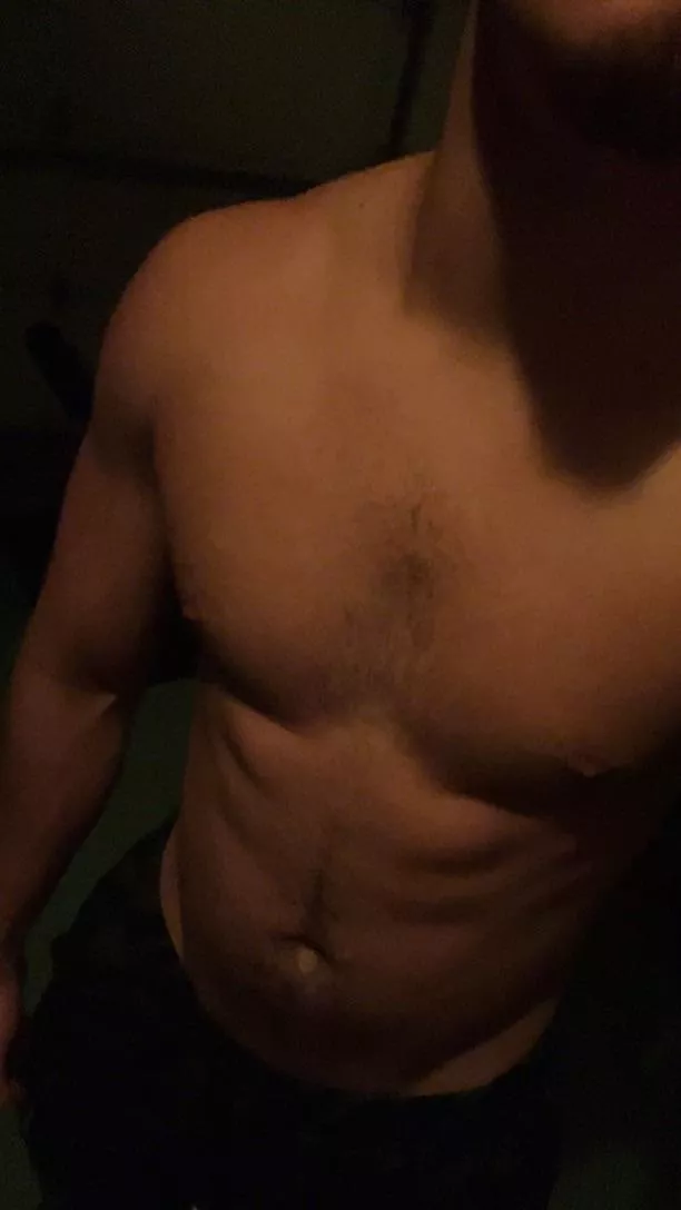 for the bears posted by AlertWrangler51