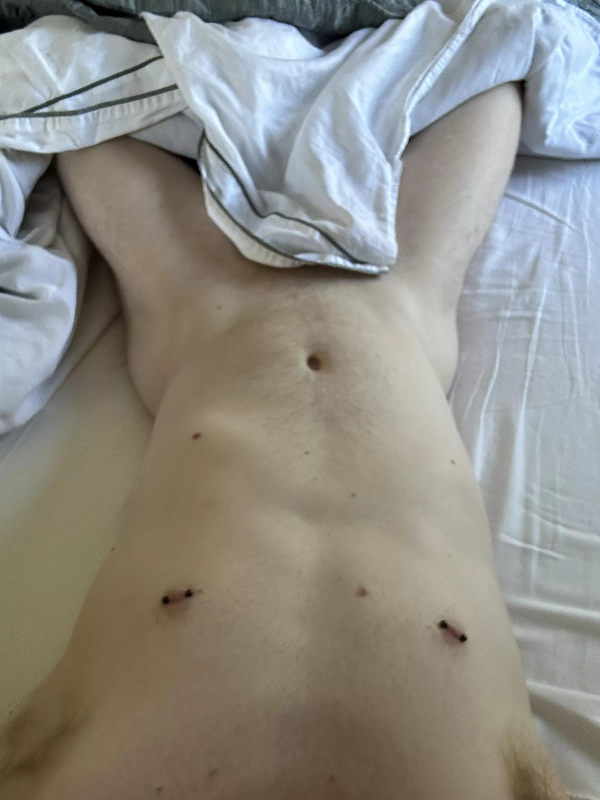 How my morning started posted by wilmit785