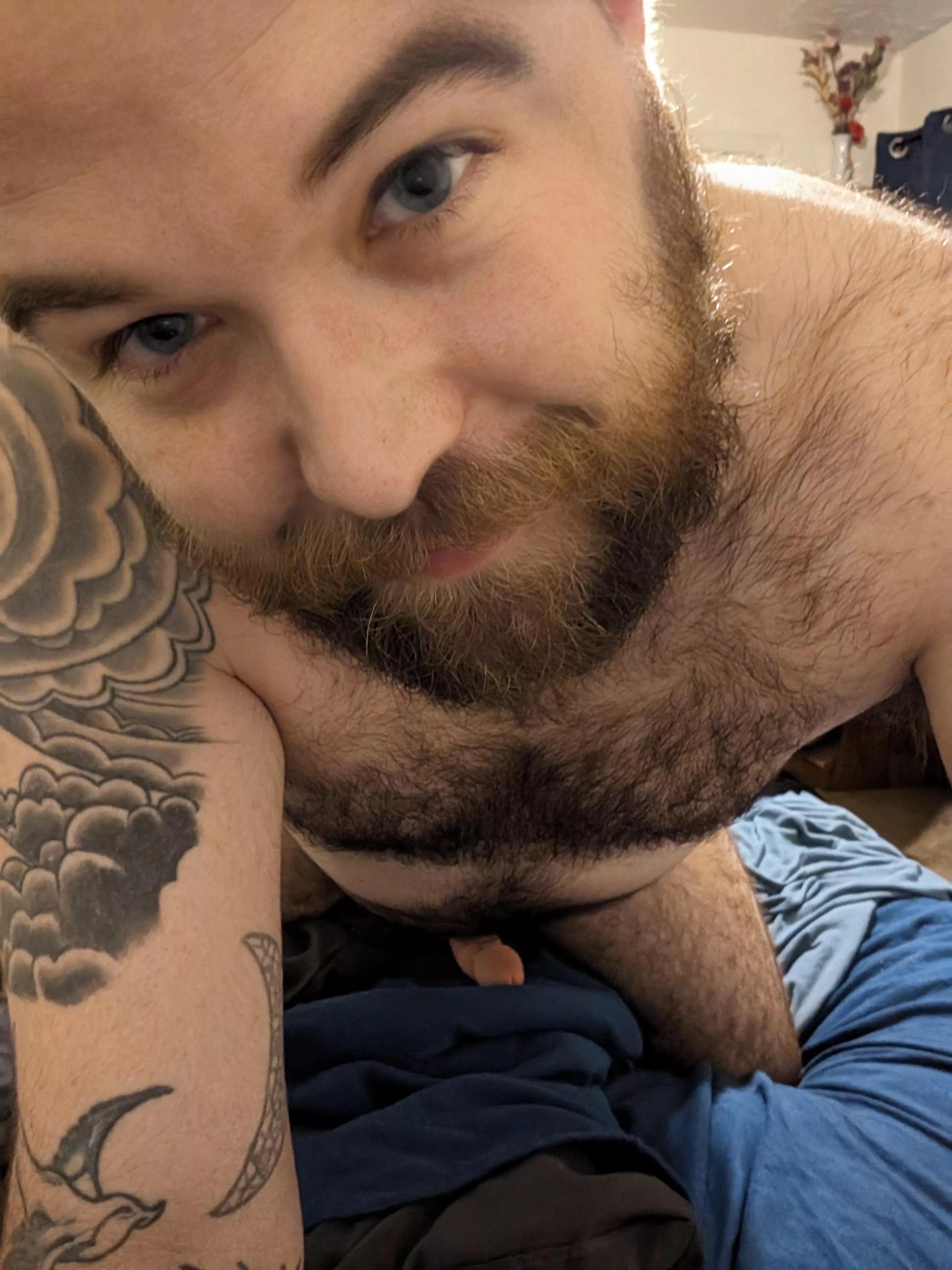 I think we should wrestle. What do you say? posted by SourBrapple