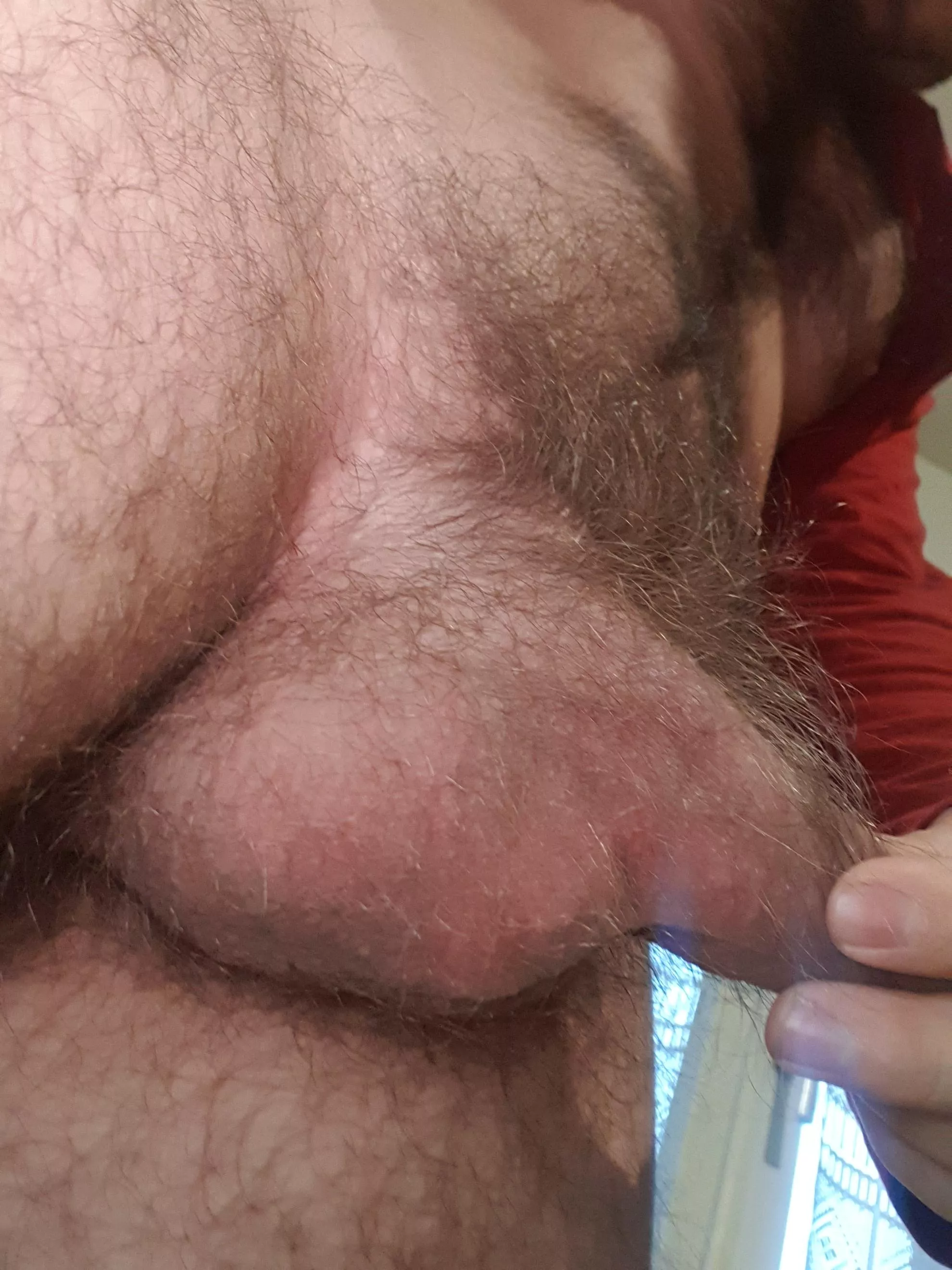 Is it all lickable? posted by Naughty_Alex1