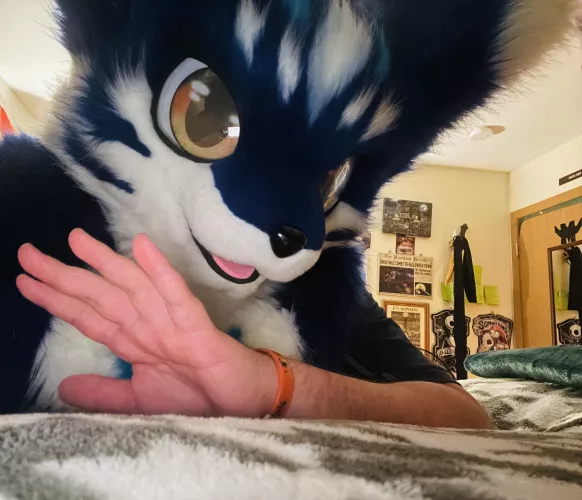 Name this fella by INeedMedicalTherapy