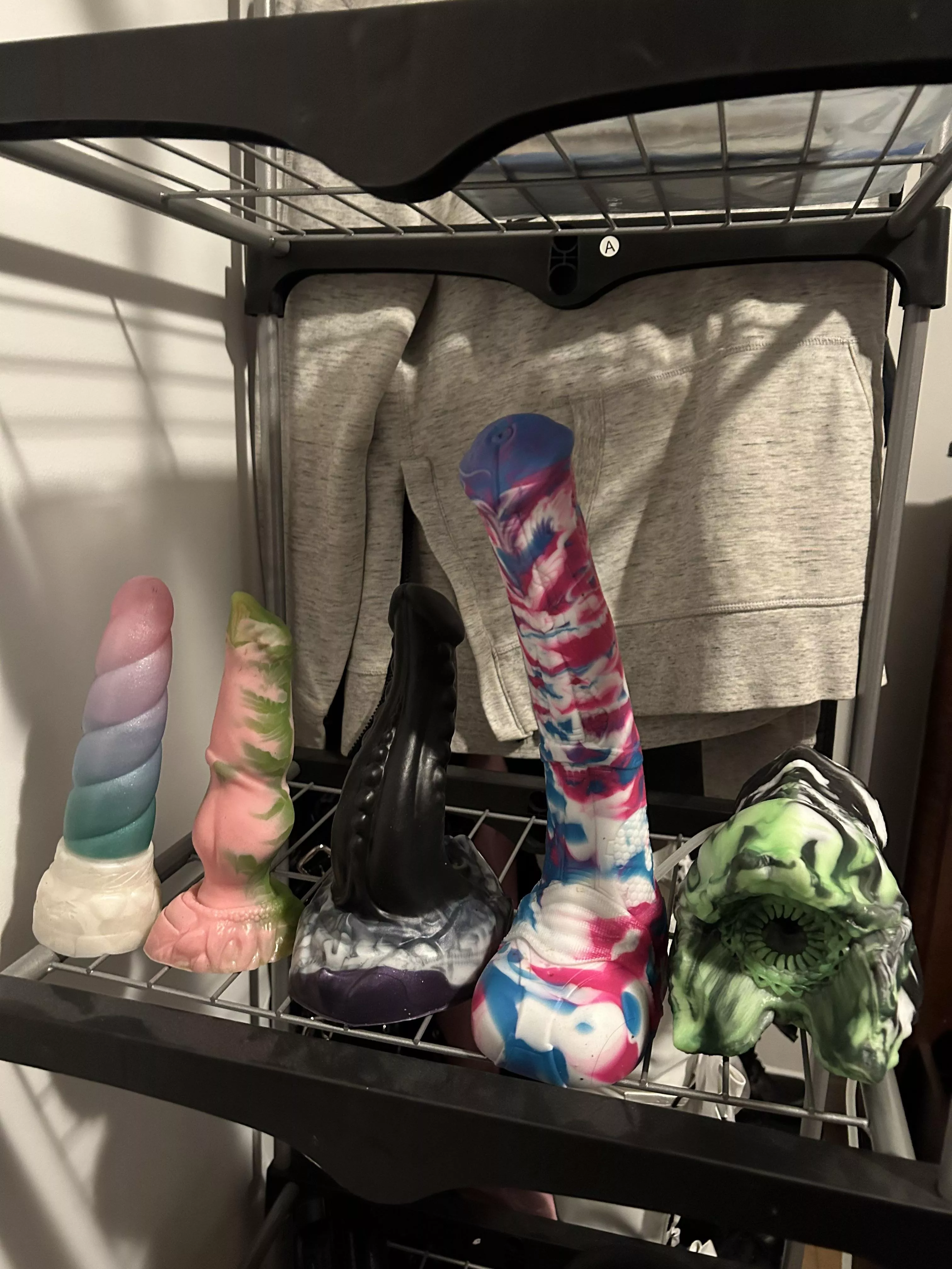 New members in the collection! posted by NoAdvance4135