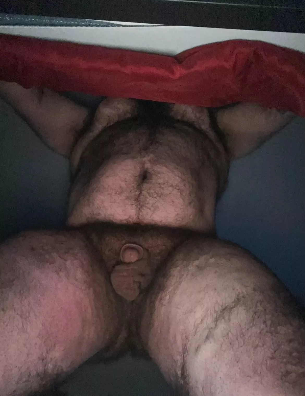 Open up that pretty lil mouth for Daddy!!🐻😉 posted by bigmikemccarthy