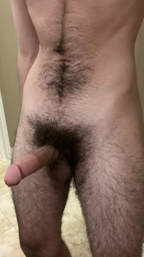 Use my hairy cock by Horny_fly