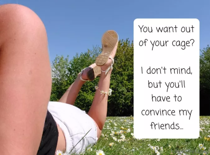 Want out? by cheeeeekymissy