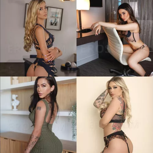 Which pornstar should I hire as an escort from Eros? [Haley Reed] [Aria Lee] [Morgan Lee] [Kali Roses] by Deep-Examination973