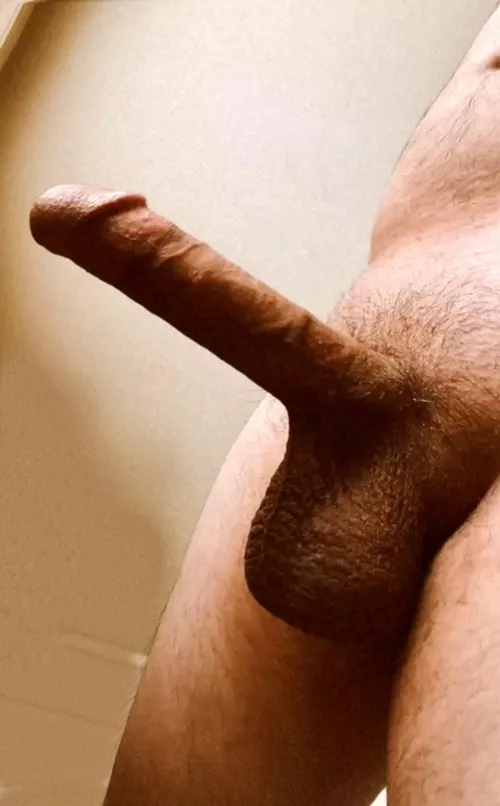 Woke up like this. by Latter-Enthusiasm-13