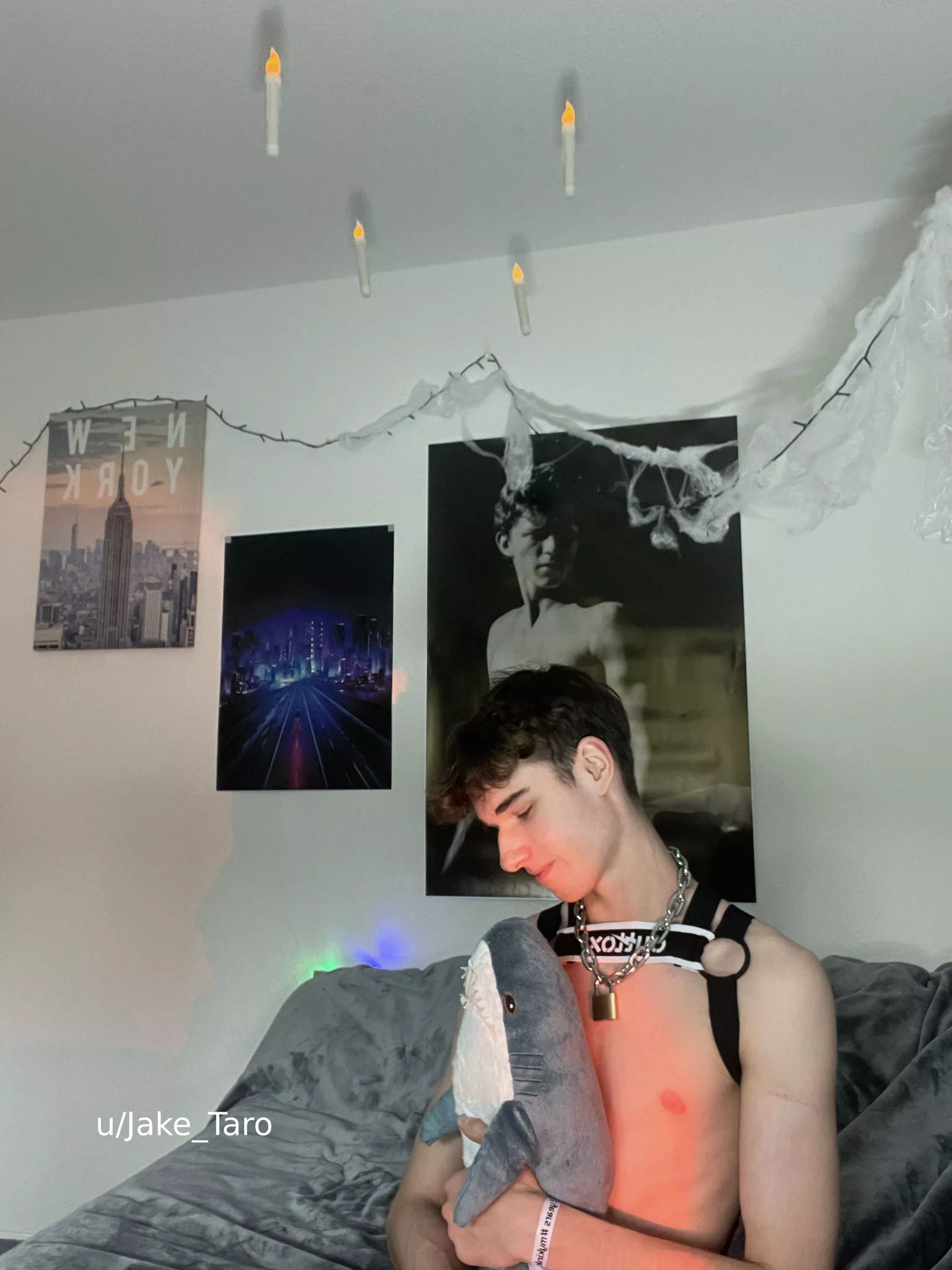 (20) do you wanna cuddle a bit? 👉👈 posted by Jake_Taro