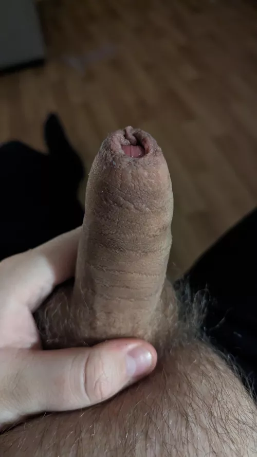 [23] year old looking for guys 18-23 ❤ love small dicks and chubby guys by External_Warthog5379