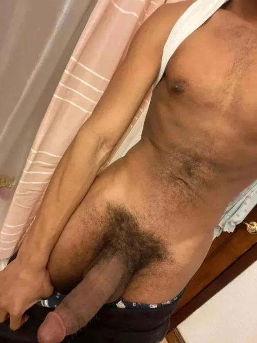 did you miss me ? by MaxTheBBCBull