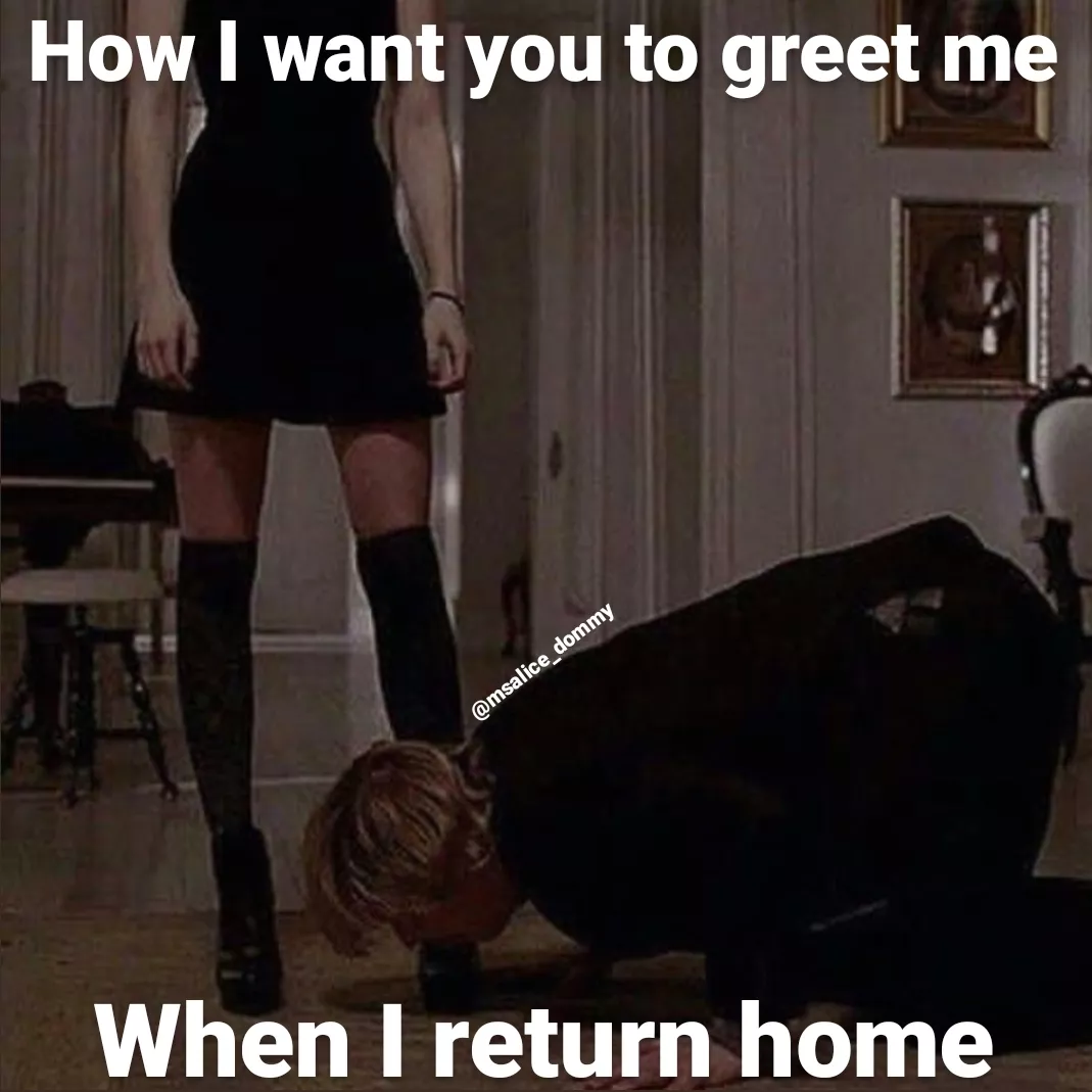 Dommey meme? Here you go!💜✨ posted by HauntingMobile9773