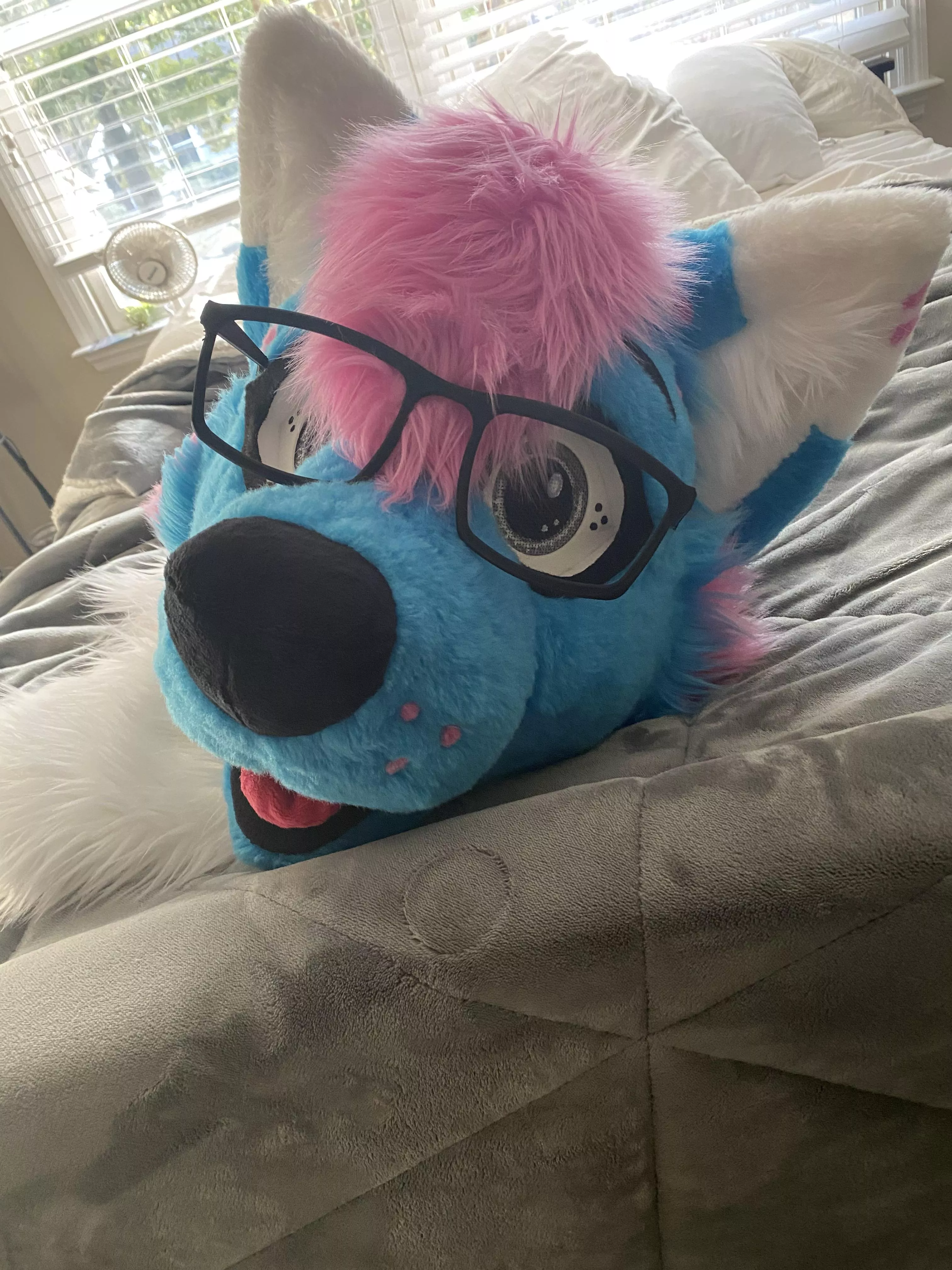 HE NEEDS SNUGGLES!!! posted by Colonel-Clayton