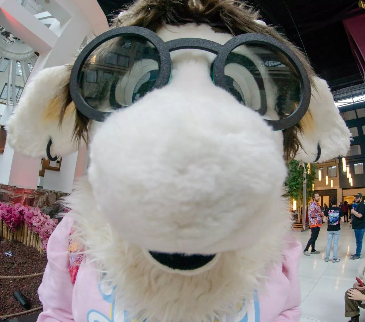 Huh? posted by KruncheeCarrots