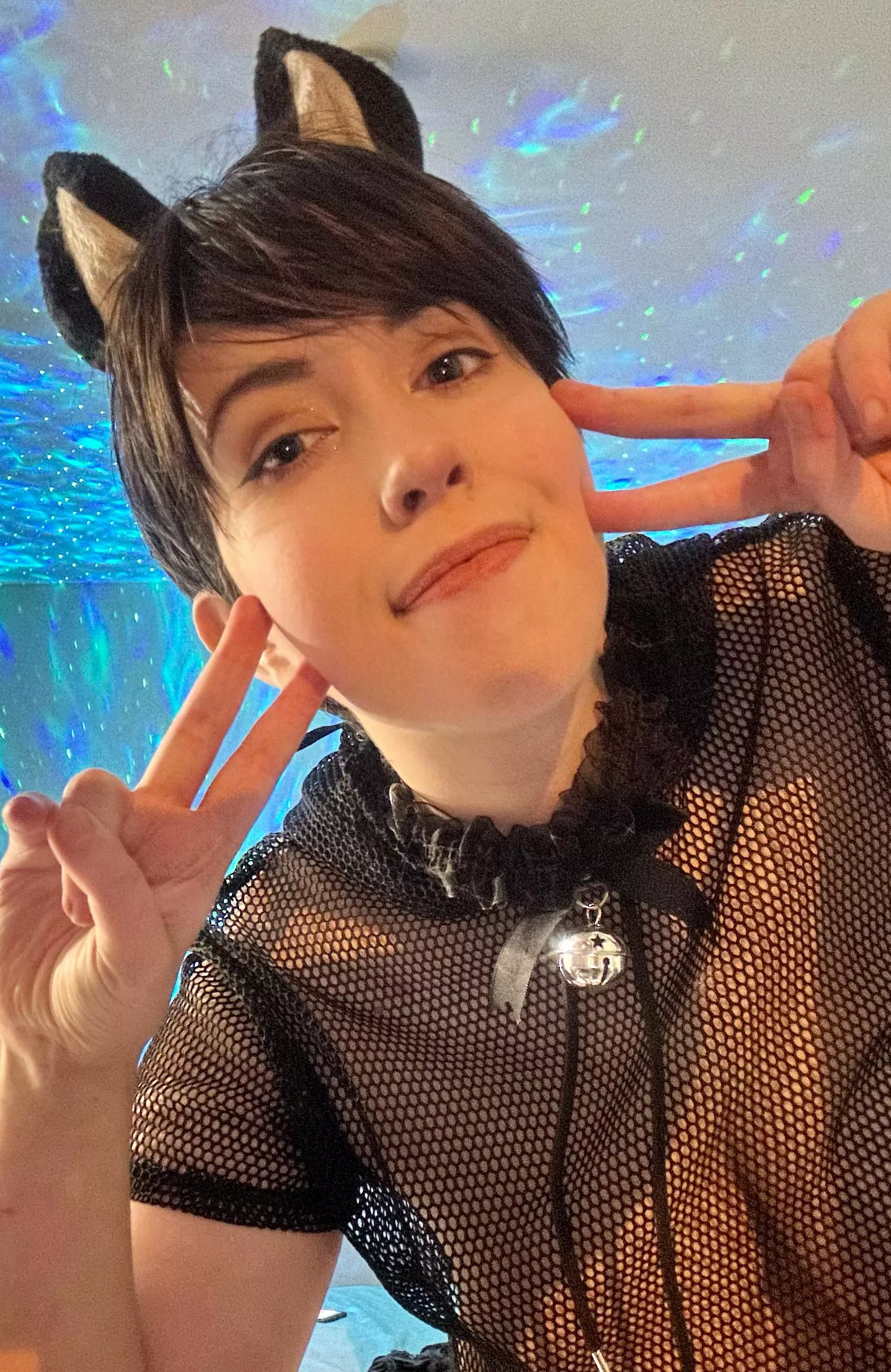 I hope someone likes the little kitten here posted by OfficiallyMinor