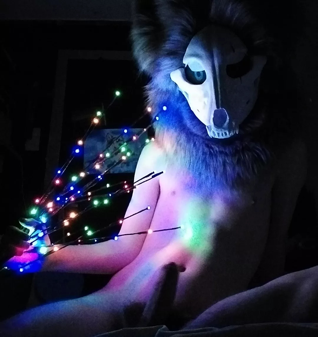 It's (almost) Time!!!!!! posted by Kududo