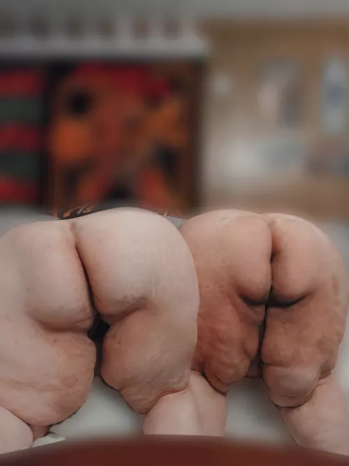 Lined up for easy breeding, where you starting? 🐷🐮 by leahbearr94