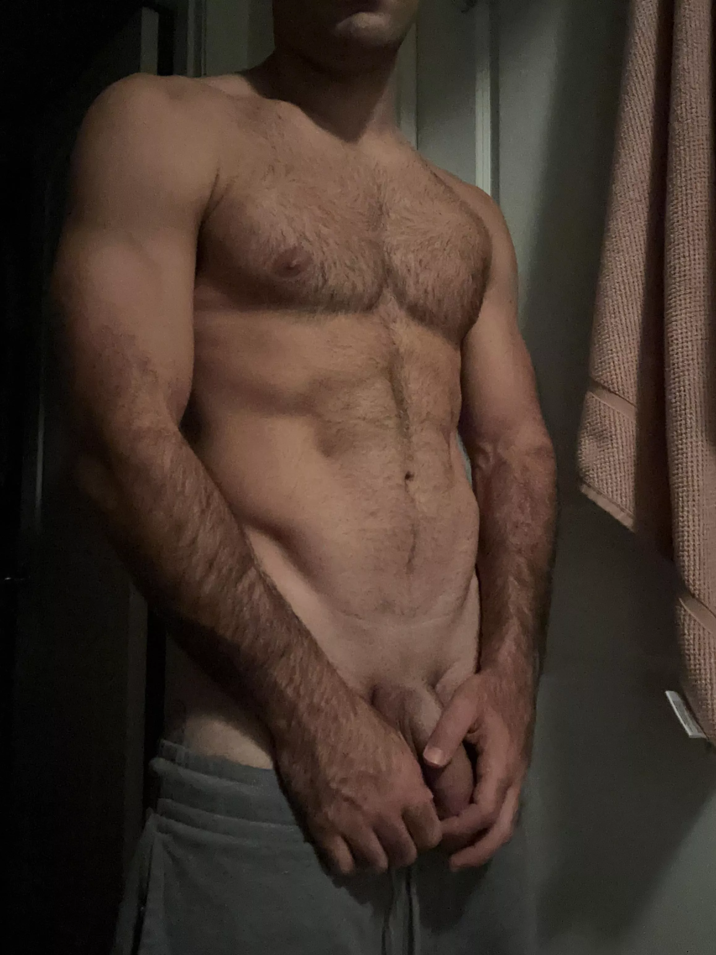 [M] What are we hitting today? posted by CHSDad00