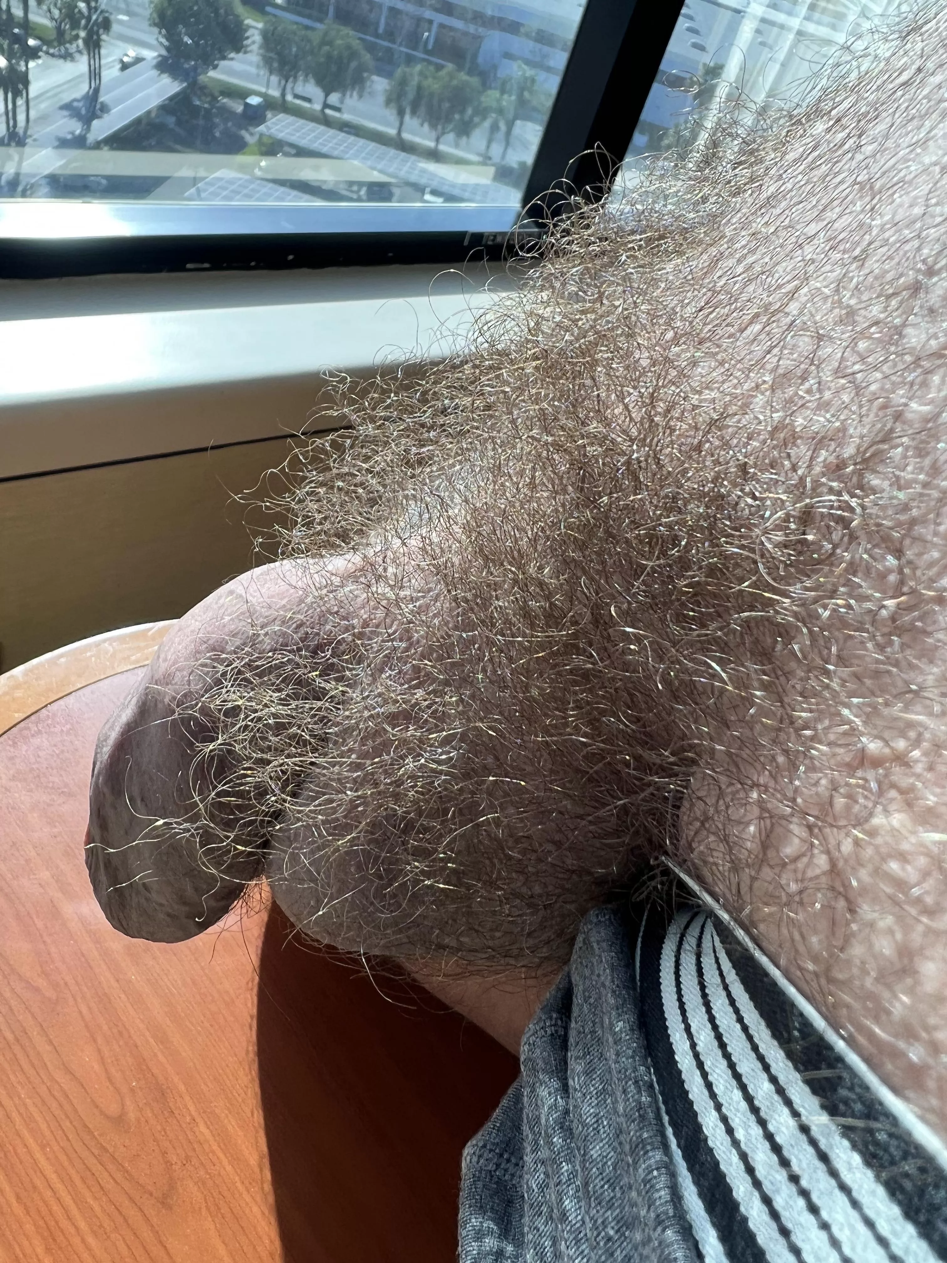 My Bulging Life posted by Select-Solution-5417