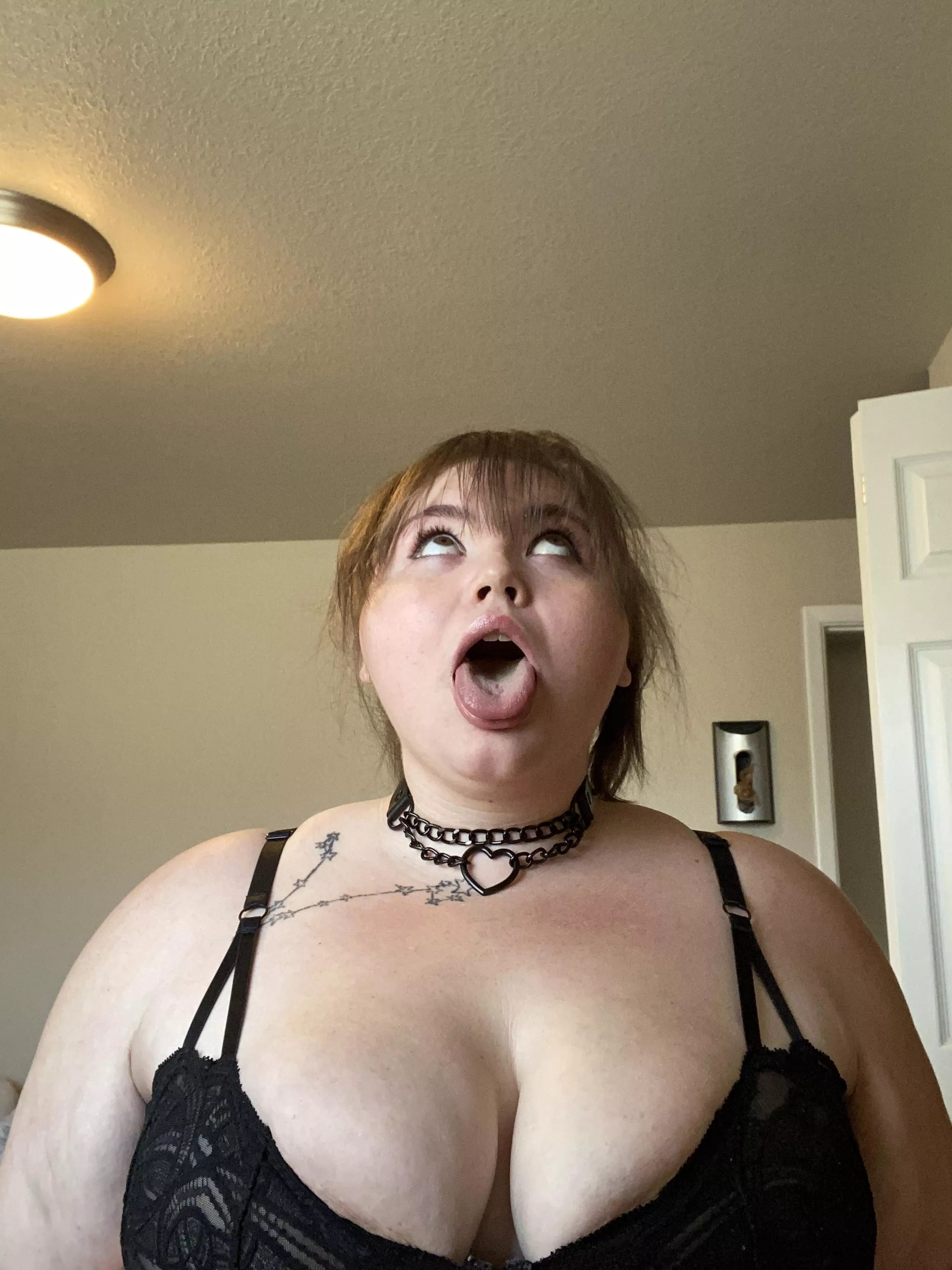 My collar posted by Few-Career-1703