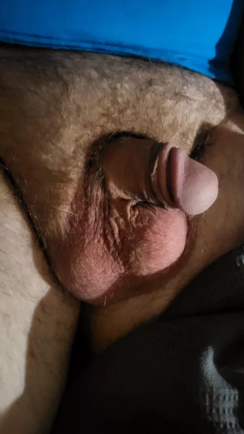 My little softie. by DogDaddy97