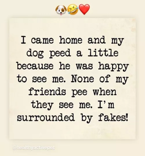 Peeing when you see a friend. by jtroad